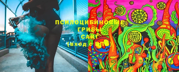 мдпв Краснотурьинск